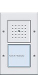 Audio-Türkommunikations-System
