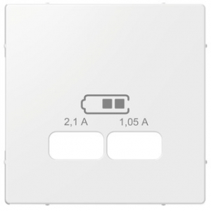 Merten Zentralplatte USB-Ladestationeinsatz polarweiss glänzend MEG4367-0319