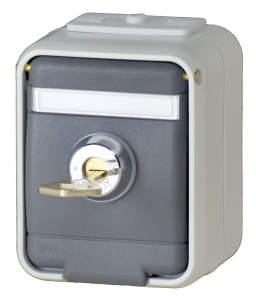 Steckdose 455019 licht-/ basaltgrau mit Sicherheitsschloß und 2 Schlüsseln