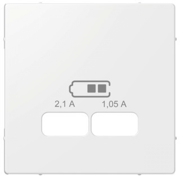 Merten Zentralplatte USB-Ladestationeinsatz polarweiss glänzend MEG4367-0319