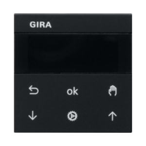 Gira System 3000 Jalousie- und Schaltuhr Display System 55 schwarz matt