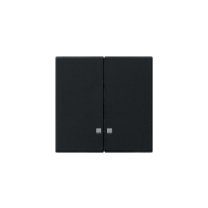 Gira Wippe 2-Fach mit Kontrollfenster für Wipp-Kontrollschalter System 55 schwarz matt
