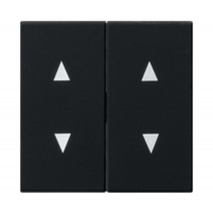 Gira Wippe 2-Fach mit Pfeilsymbolen System 55 schwarz matt 1150005