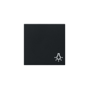 Gira Wippe mit Lichtsymbol System 55 schwarz matt 0285005